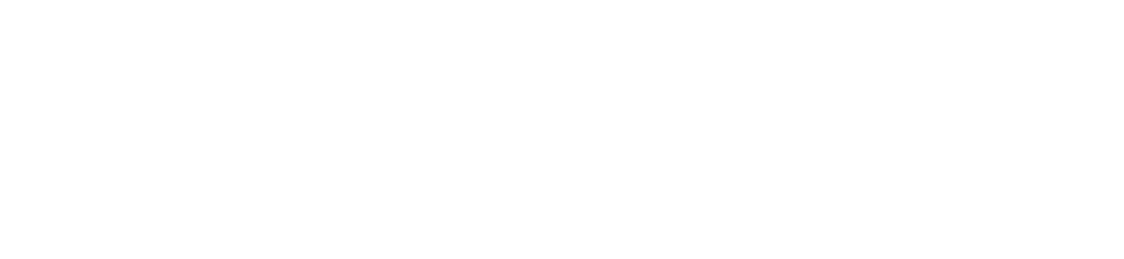 TN2C_Logo_White-e1772669652549-1024x236-1